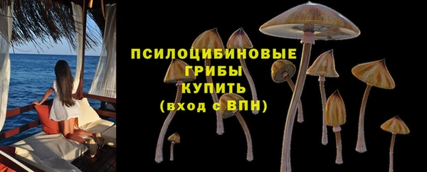круглые Арсеньев